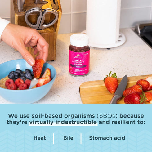 Ancient Nutrition Probiotics, SBO Probiotics Berry Gummies, 10 Billion CFUs, Healthy Digestive and Immune Support