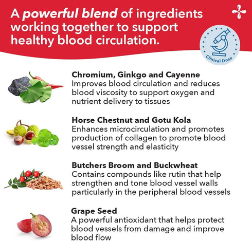 LifeSeasons Circulari-T - Blood Circulation Supplement for Artery, Capillary & Vein Health - 90 Capsules