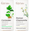 Coriander & Roman Chamomile Essential Oil Set - Aromatherapy Grade Essential Oils