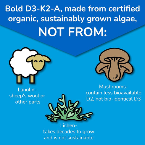 D3-K2-A Liquid Vitamin Complex, Vegan Vitamin D3 from Organic Algae with K2 (MK7) and Vitamin A, Natural Orange Flavor