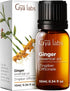 Set Set 2x0.34 oz Bay Leaf & Ginger Essential Oil - Aromatherapy Grade Essential Oils - fl - Gya Labs