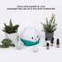 LittleHippo Set of 6 Premium 100% Pure Essential Oils, 10ml, Formulated for Kids/Children for WISPI.