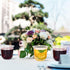 KesaPlan 100 Pcs Clear Classic 12oz Crystal Plastic Stemless Wine Glasses for Weddings, Meetings, Birthdays, Parties
