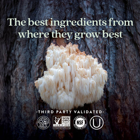 New Chapter Lion's Mane + Reishi Mushroom - LifeShield Mind Force for Mental Clarity, Vegan, 60 ct