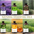 Set 6 Pack Aromatherapy Essential Oils Gift - (Lavender, Vanilla, Peppermint, Orange, Lemongrass, Cedarwood)