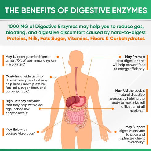 Wholesome Wellness Digestive Enzymes 1000MG Plus Prebiotics & Probiotics Supplement, 180 Capsules
