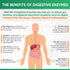 Wholesome Wellness Digestive Enzymes 1000MG Plus Prebiotics & Probiotics Supplement, 180 Capsules