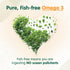 OmegaVia Vegan Omega 3 Supplement, 60 Softgels, 300mg Vegan DHA Omega-3 Fatty Acids, Plant Based, IFOS 5 Star Tested