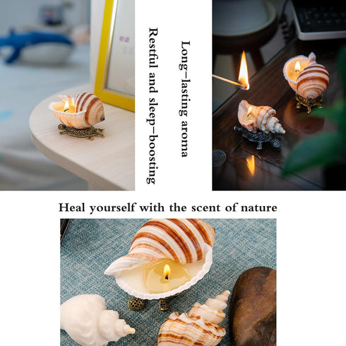 Handmade Natural Scented Candles - Conch Shell Soy Wax Candles Scented with Essential Oils, Home Scented Candles
