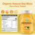 18.5OZ Sea Moss Gel | Organic Raw Flavored Irish Seamoss Gel | Immune and Digestive Support, Pineapple Flavor