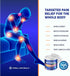 OWELL NATURALS Joint & Muscle Cream - All-Natural- Maximum Strength Relief & Recovery for Back (2 Fl Oz (Pack of 1)