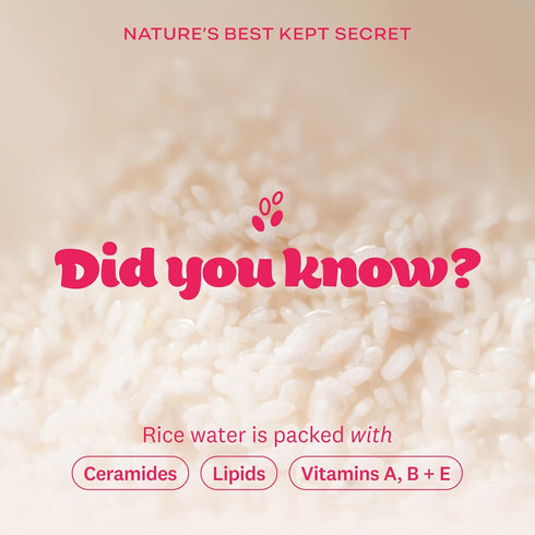 The Face Shop Rice Water Bright Foaming Facial Cleanser - Gentle Face Wash with Ceramide, 300ml, Vegan