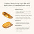 JSHealth High Strength Fish Oil Supplements - Omega 3 Fish Oil from Wild-Caught Fish, 120 Capsules