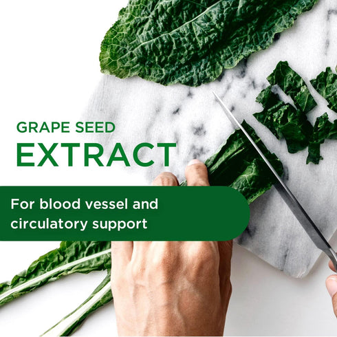EMERALD LABS European Grape Seed Extract - 90 Vegetable Capsules - Antioxidant & Immune Support for Healthy Blood Flow