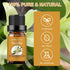 Sedbuwza Vanilla Essential Oil, 100% Pure Organic Vanilla Aromatherapy Gift Oil for Diffuser, Humidifier, Soap, Candle, Perfume