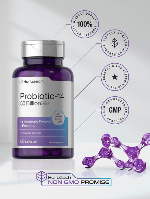 Horbaach Probiotics with Prebiotics, 60 Capsules | 50 Billion Active Organisms | Non-GMO & Gluten Free Supplement