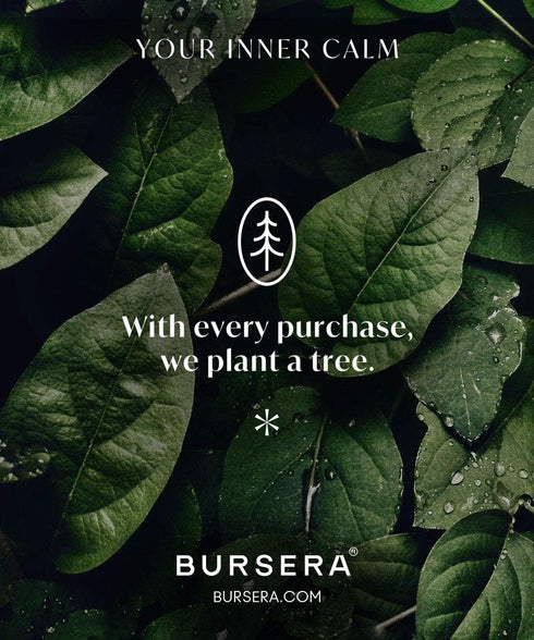 Bursera Organic Sage Essential Oil 10ml - 100% Pure USDA Organic for Aromatherapy, Diffuser & Skin