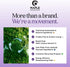 Sleep Essential Oil Blend for Diffuser - Snooze Blend with Lavender, Roman Chamomile, Cedarwood for Nighttime Relaxation