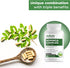 Moringa Complex with Oleifera Leaf & Seed Extract - Potent Strength 5000 mg per Serving, Green-Based Superfood