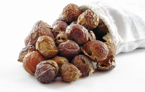 NaturalThings Organic Soap Nuts, Eco-Friendly Laundry Soap (125 Loads + 1 Wash Bag)
