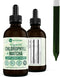 360 Nutrition Matcha Chlorophyll Liquid Drops - Gluten Free & Vegan Supplement for Gut Health, 60 Servings