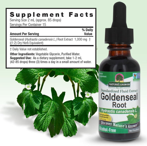 Nature's Answer Goldenseal Root | Herbal Supplement | 1oz - Supports Healthy Immune System