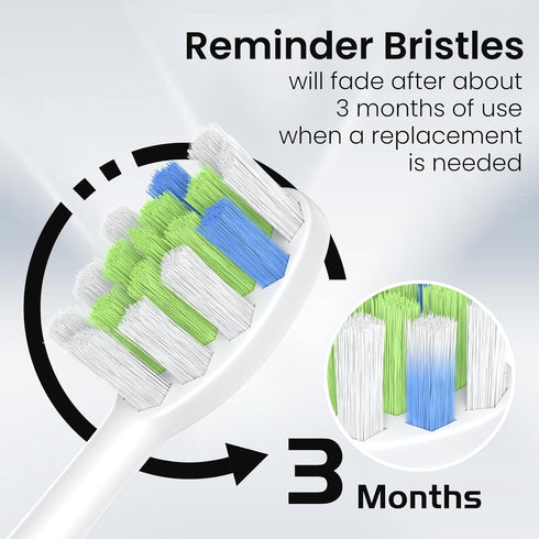 Proflex 10 Pack Replacement Brush Heads Compatible with AquaSonic Black Series, Vibe Series, Duo Series Pro (White)