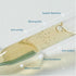 Pore Minimizing Serum for Face - Deep Intensive Hydration - Instant Skin Balancing - Non-Sticky, Non-Greasy Anti-Aging
