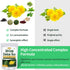 Herbmood 30 30Count (Pack 2) Te de Diente de Leon Day Cleanse Dandelion Tea, Natural Herbs Tea Bags para Perder Peso