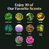 Lagunamoon 10-Pack Organic Essential Oils Set, 10mL, Top 10 Scents for Aromatherapy, Massage, Candle Making & Skin Care
