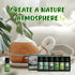 SALUBRITO Essential Oils Set - Nature Fragrance Oils Set for Diffuser, Candle, Soap Making - Forest Pine, Ocean Breeze