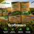 EcoFlosser 300 Picks, Charcoal Dental Floss Picks for Teeth Cleaning, Biodegradable and Eco-Friendly