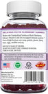Herbion Naturals Elderberry Gummies with Vitamin C & Zinc Healthy Immune System Support Gummies, 60 Count Pectin Gummies