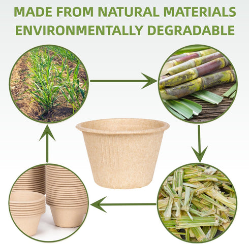Gere Disposable Testing Cup Bowls, 100 Pack, 4 oz Natural Biodegradable Bagasse Fiber Souffle and Measuring Cups