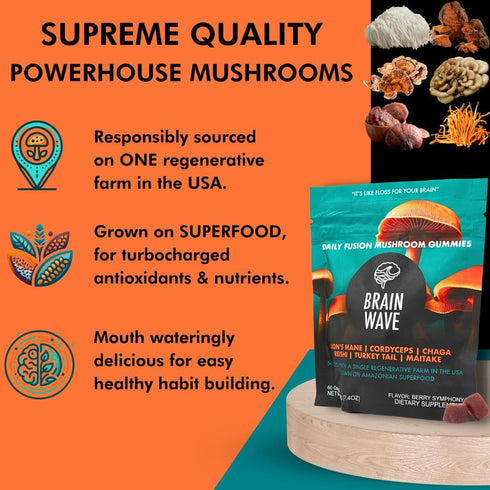BRAIN WAVE Superfood Mushroom Gummies - Daily Multi Mushroom Supplement - Lions Mane, Reishi, Cordyceps, Turkey Tail,