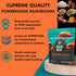 BRAIN WAVE Superfood Mushroom Gummies - Daily Multi Mushroom Supplement - Lions Mane, Reishi, Cordyceps, Turkey Tail,