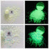 PrettyG 6 Boxes Luminous Nail Art Glitter Set, Glow in The Dark 3D Stickers for DIY Nail Craft Accessories