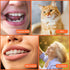 Ouligay 5Pcs Tuft Toothbrush, Soft Compact Interdental Toothbrush for Orthodontic Braces