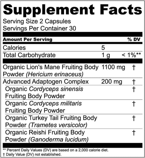 Live Conscious Lions Mane Mushroom Supplement - Brain Support with Lion's Mane, Cordyceps, Reishi, Turkey Tail