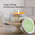 Long Lasting Pure White Sage Candle - Magnificent 6 Oz, 35 Hour Burn Time, Organic Soy Candle for Cleansing Home