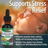 Schisandra Berry Extract, Nature's Answer, Alcohol Free, Gluten Free, Stress Support, Made in USA