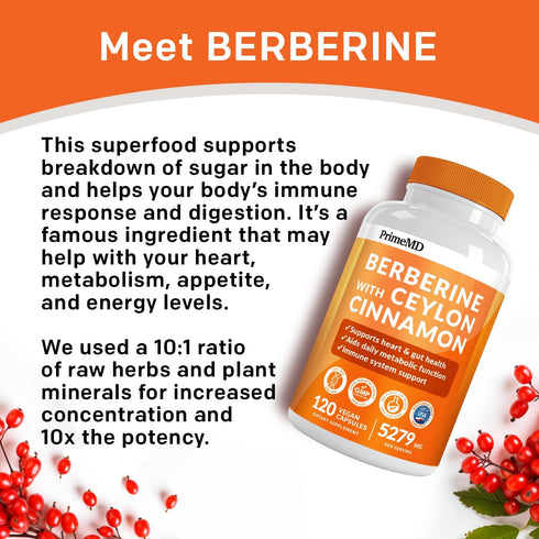 21-in-1 Berberine Supplement with Ceylon Cinnamon - 1500 mg Berberine, Chromium, Bitter Melon, 120 ct