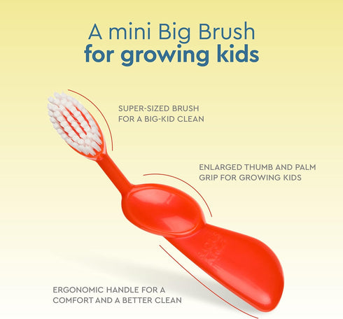 RADIUS Children's Toothbrush, Extra Soft Bristles, Right Handed, Green/Blue/Orange, BPA Free, Pack of 3 for Kids