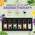 Refresh Essential Oil Set, 6x10ml Aromatherapy Oils for Diffuser, Humidifier, DIY Candle, Air Purifier