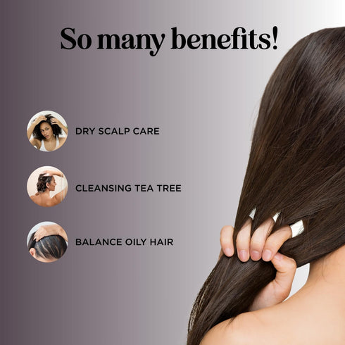 Tea Tree Shampoo for Oily Hair - Purifying Aromatherapy with Tea Tree Oil - Paraben & Sulfate Free, 16 fl oz