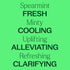 Plant Therapy Spearmint Essential Oil 30 mL (1 oz) 100% Pure, Undiluted
