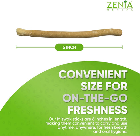 Zenia Sewak Natural Miswak Toothbrush - Vacuum Sealed Traditional Peelu Stick for Healthy Gums (Pack of 12)