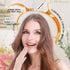 RC ROCHE ORNAMENT 6 Pcs Women's Hair Clip, Professional Styling Sectioning, Durable Alligator Duck Bill Jaw Grip