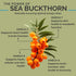 Organic Sea Buckthorn Oil - Omega-7 Complete Softgels, 30 Count, Supports Hair, Skin & Nail Health