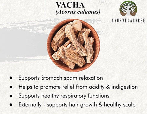 Calamus Powder 100 Gm | Vacha Powder | Acorus Calamus | Highly Aromatic herb | Supports Stomach | Acorus Calamus Root Powder | Sweet Flag | Vasambu |